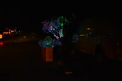 DSC_5762 (Large).JPG